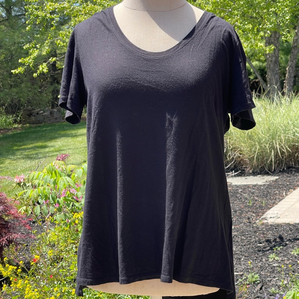 THEORY TOP